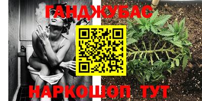 Альфа ПВП Коммунар