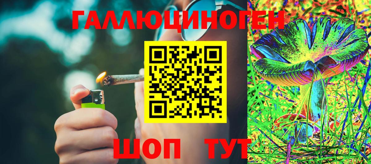где можно купить наркотик  Псилоцибиновые грибы Psilocybe  Канаш  Вход с VPN  Галлюциногенные грибы ЛСД 